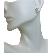 Load image into Gallery viewer, Cubic Zirconia Star Earring
