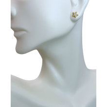 Load image into Gallery viewer, Cubic Zirconia Star Earring
