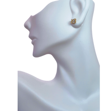 Load image into Gallery viewer, Cubic Zirconia Globe Earring
